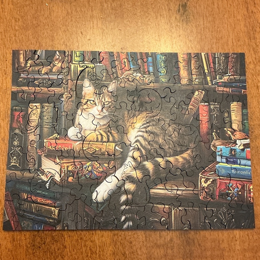 Charming Cat and Books Puzzle - Multicolor